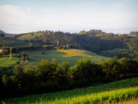 Tuscan landscape