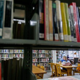 A bookshelf in the library. Through the books, there are students studying.