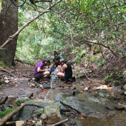 Students in the forest