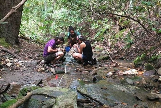 Students in the forest