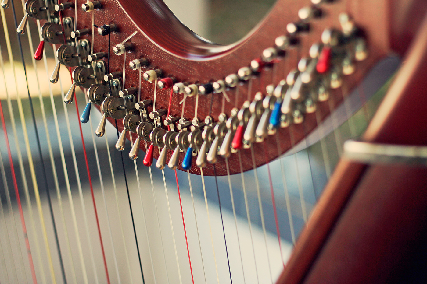 Hands_harp Warren Wilson College
