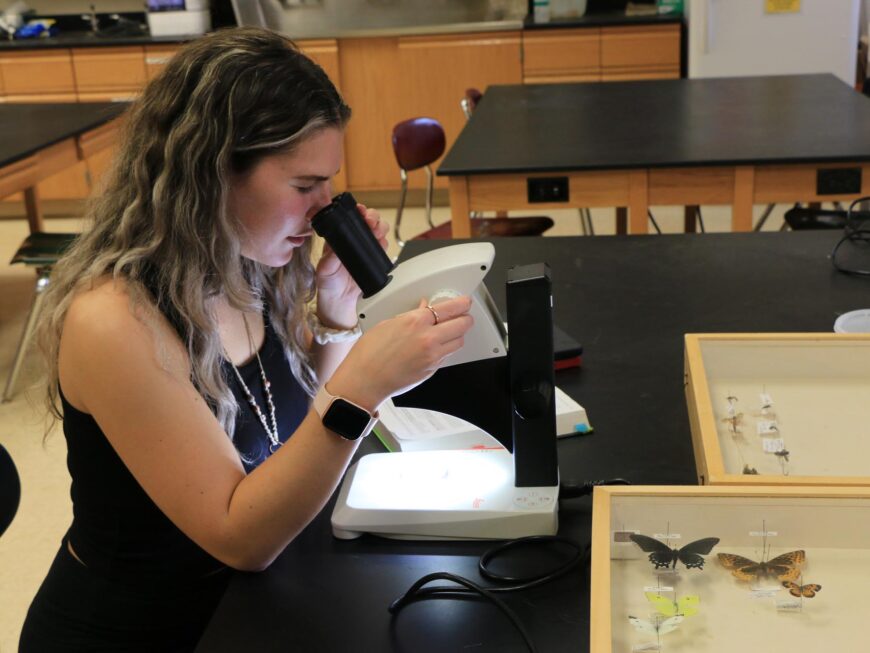 A biology and environmental studies crew student studies a sample through a microscope