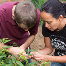 Alisa Hove with student in the field