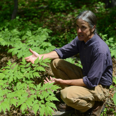 Professor Dave Ellum