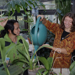Professor Alisa Hove with student in greenhouse