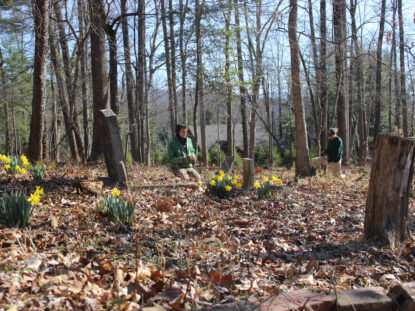 south asheville cemetary