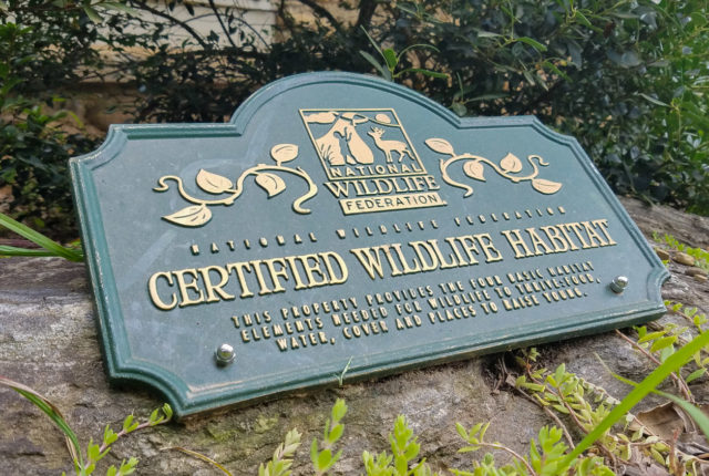 Wildlife Certification