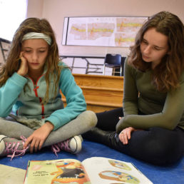 Youth in education