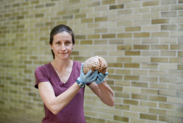 Jen Mozolic holding a brain