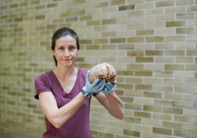 Jen Mozolic holding a brain