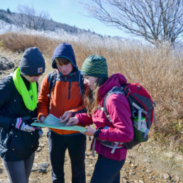 Students doing fieldwork