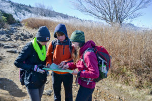 Students doing fieldwork