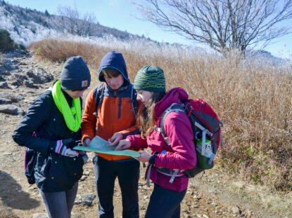 Students doing fieldwork