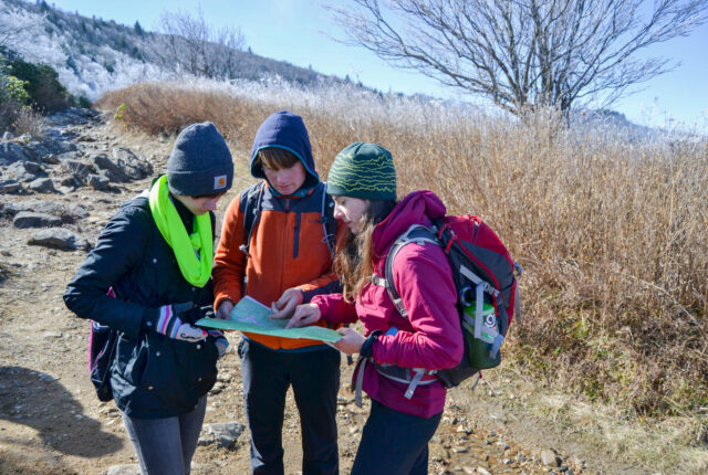 Students doing fieldwork