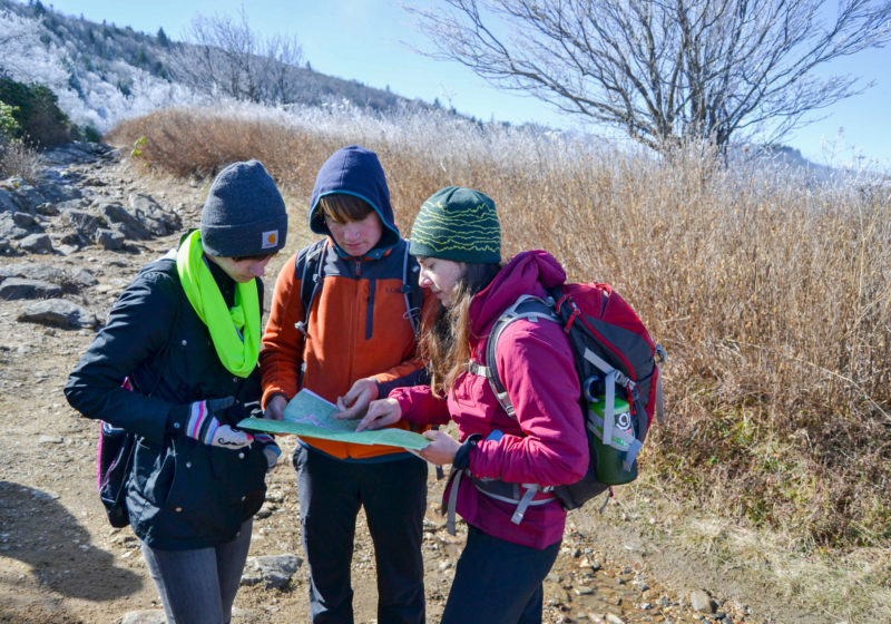 Students doing fieldwork