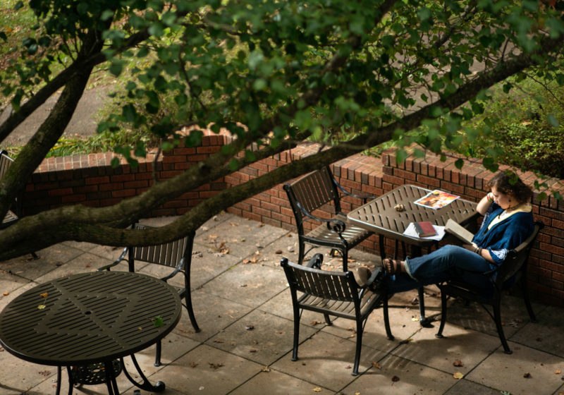 Student reads on Sunderland patio