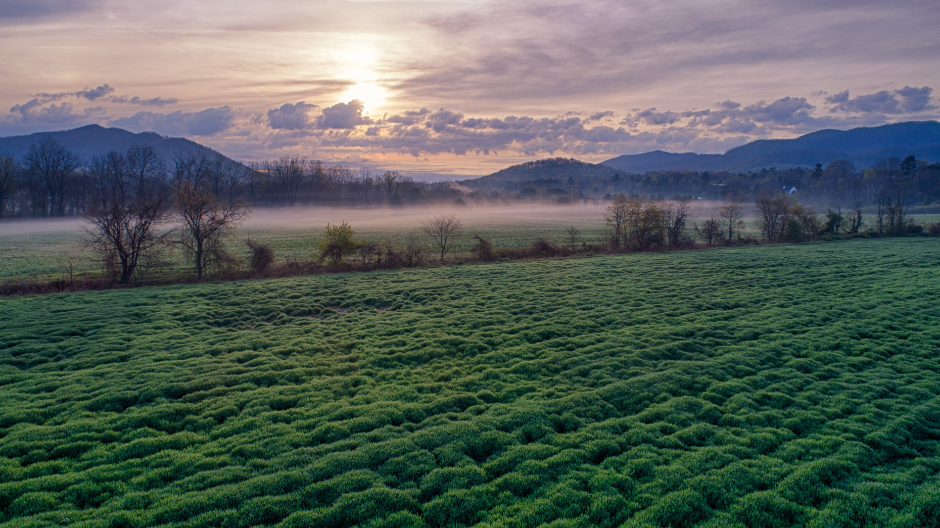 Sustainable Agriculture Programme Results