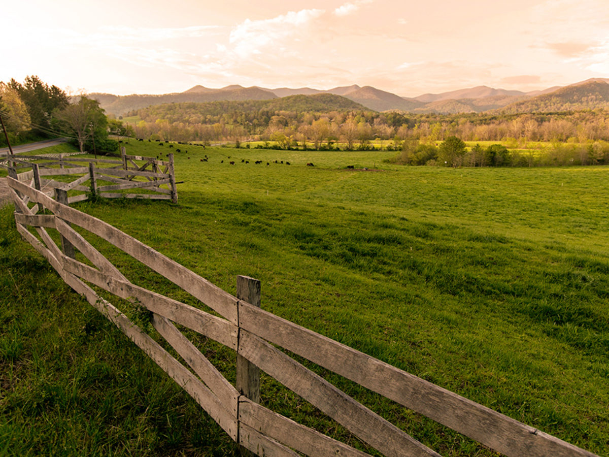 Valley Landscape