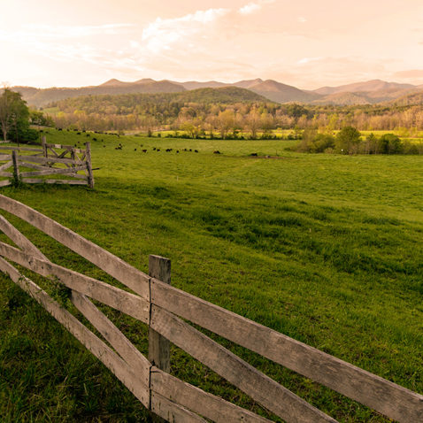 Valley Landscape