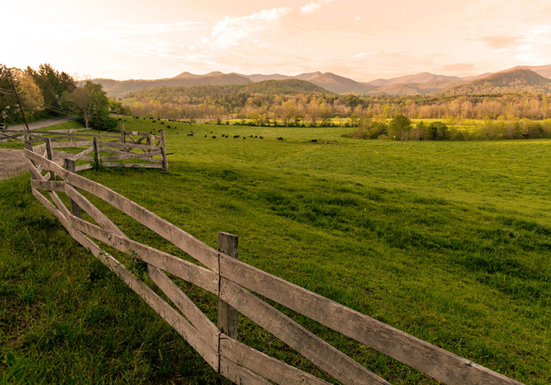 Valley Landscape