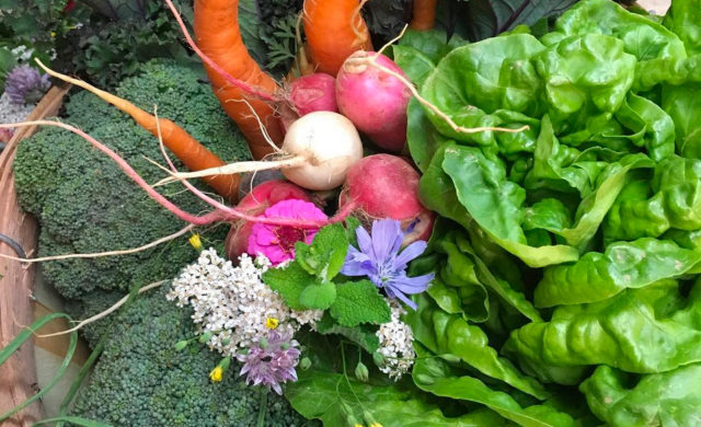 Garden Produce