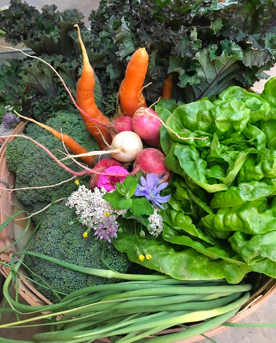 Garden Produce