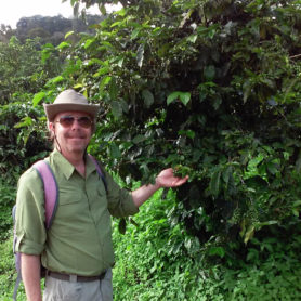 David O Bradshaw with coffee plant