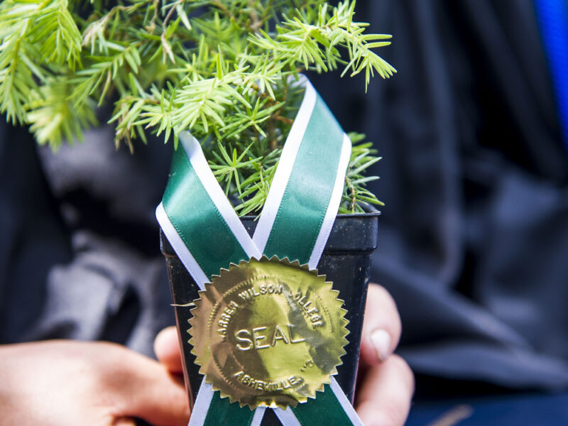 A graduate holds their Eastern Hemlock Sapling and their degree on their lap at commencement