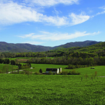 Warren Wilson College Farm