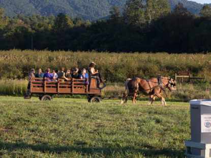 BBQ Horse ride