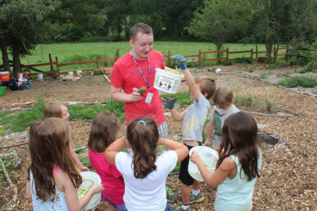 Josh Darby, a new Warren Wilson College student, helps Verner Center for Early Learning students harvest cucumbers. 