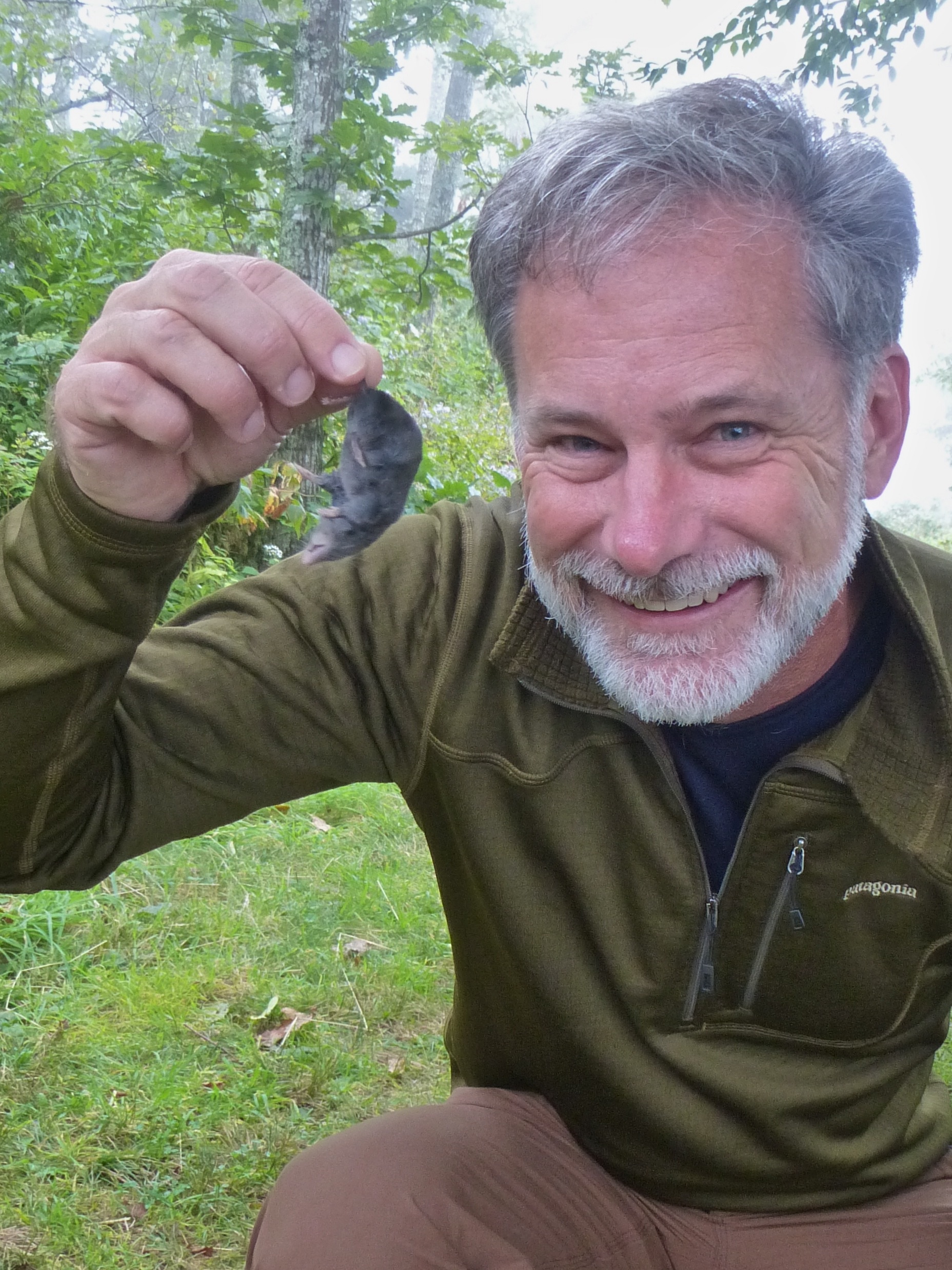 Jeff Holmes mouse
