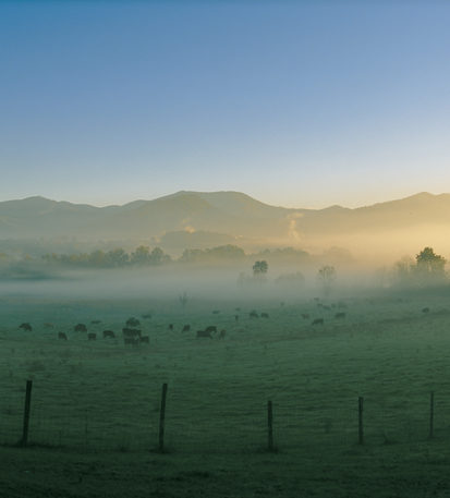 Mist over the Swannanoa Valley