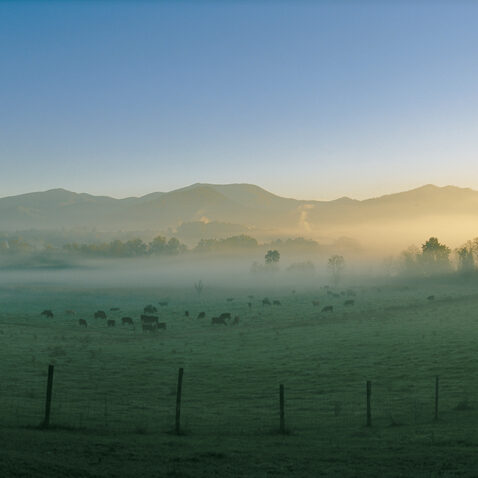 Mist over the Swannanoa Valley