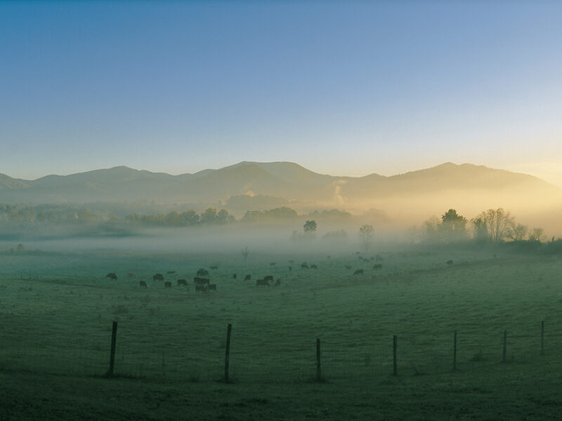 Mist over the Swannanoa Valley