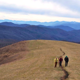 Hikers on mountain bald