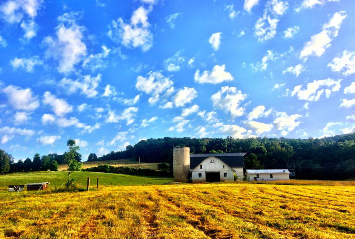 a field with the white barn