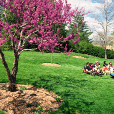 Formal Garden in bloom