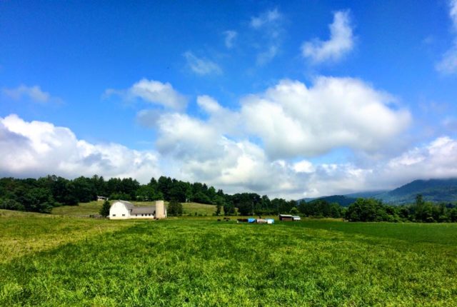 White Barn