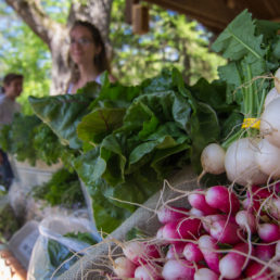 Garden Crew Farmers Market