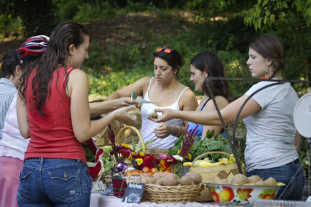 The Warren Wilson community gets fresh produce from the college garden at regular afternoon markets on main campus.