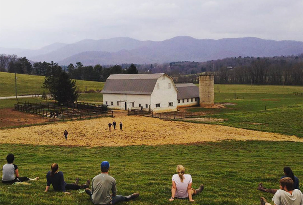 Students in pasture