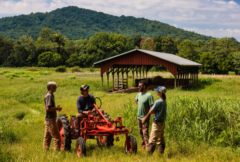 Farm Shoot