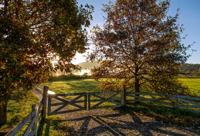 Campus scene with fence