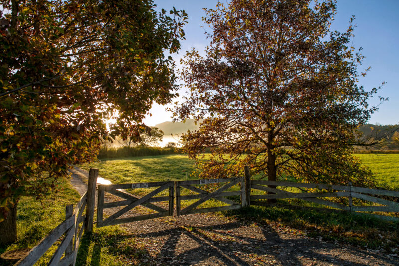 Campus scene with fence