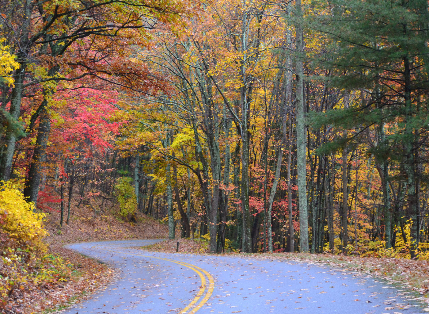 Blue Ridge Parkway