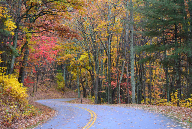 Blue Ridge Parkway