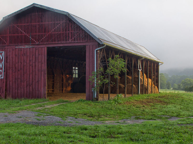 Red Barn