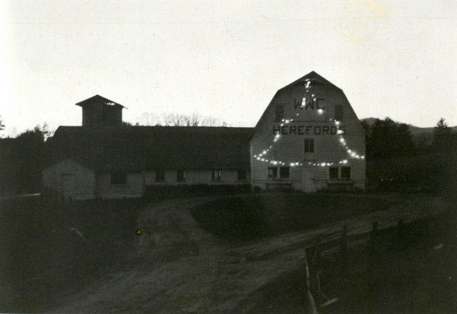 White Barn Christmas lights