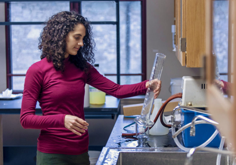 Student works in a lab